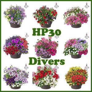 Afbeelding van HP30 XXL Mix divers